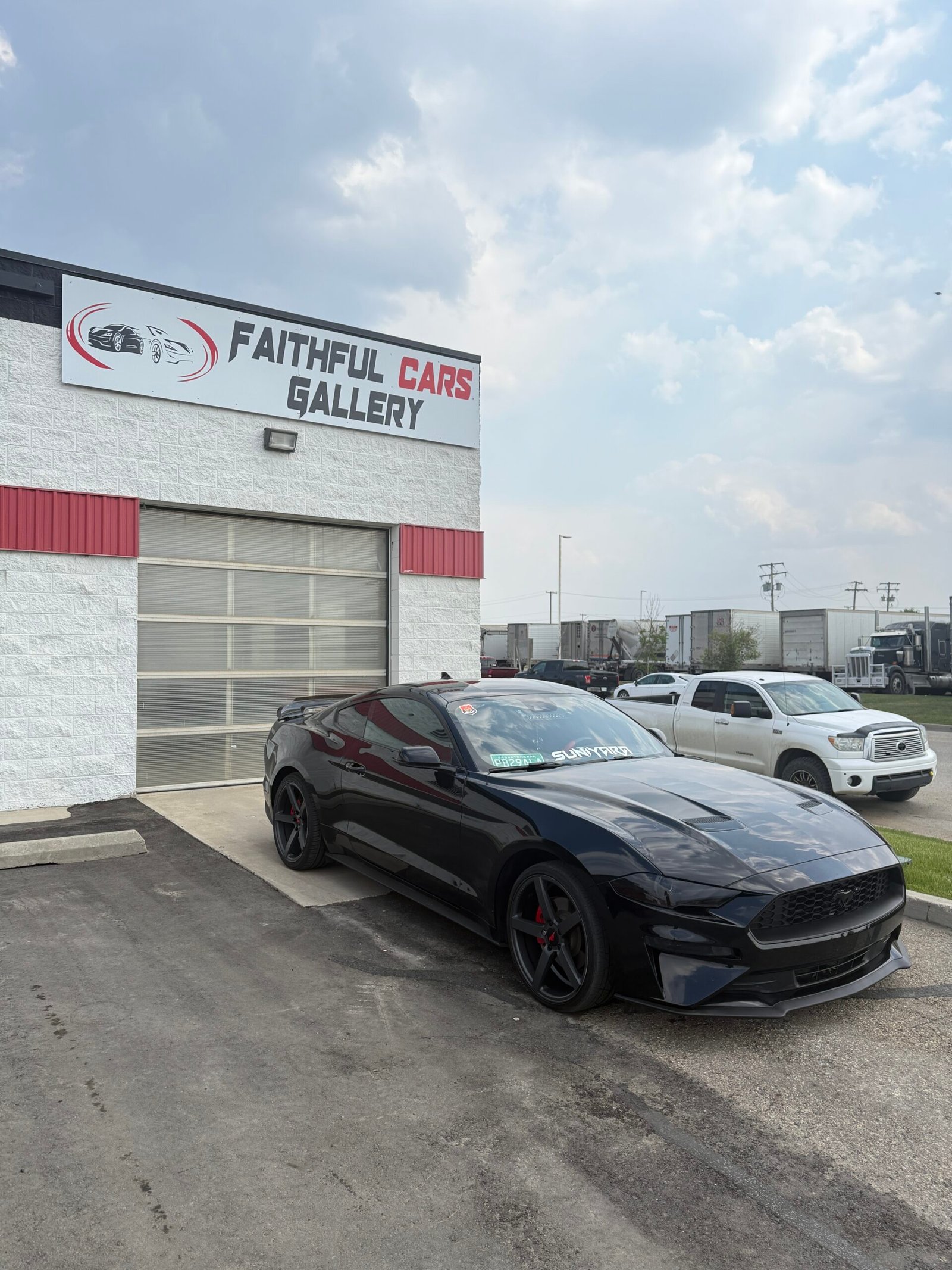 
								Mustang Ecoboost full									