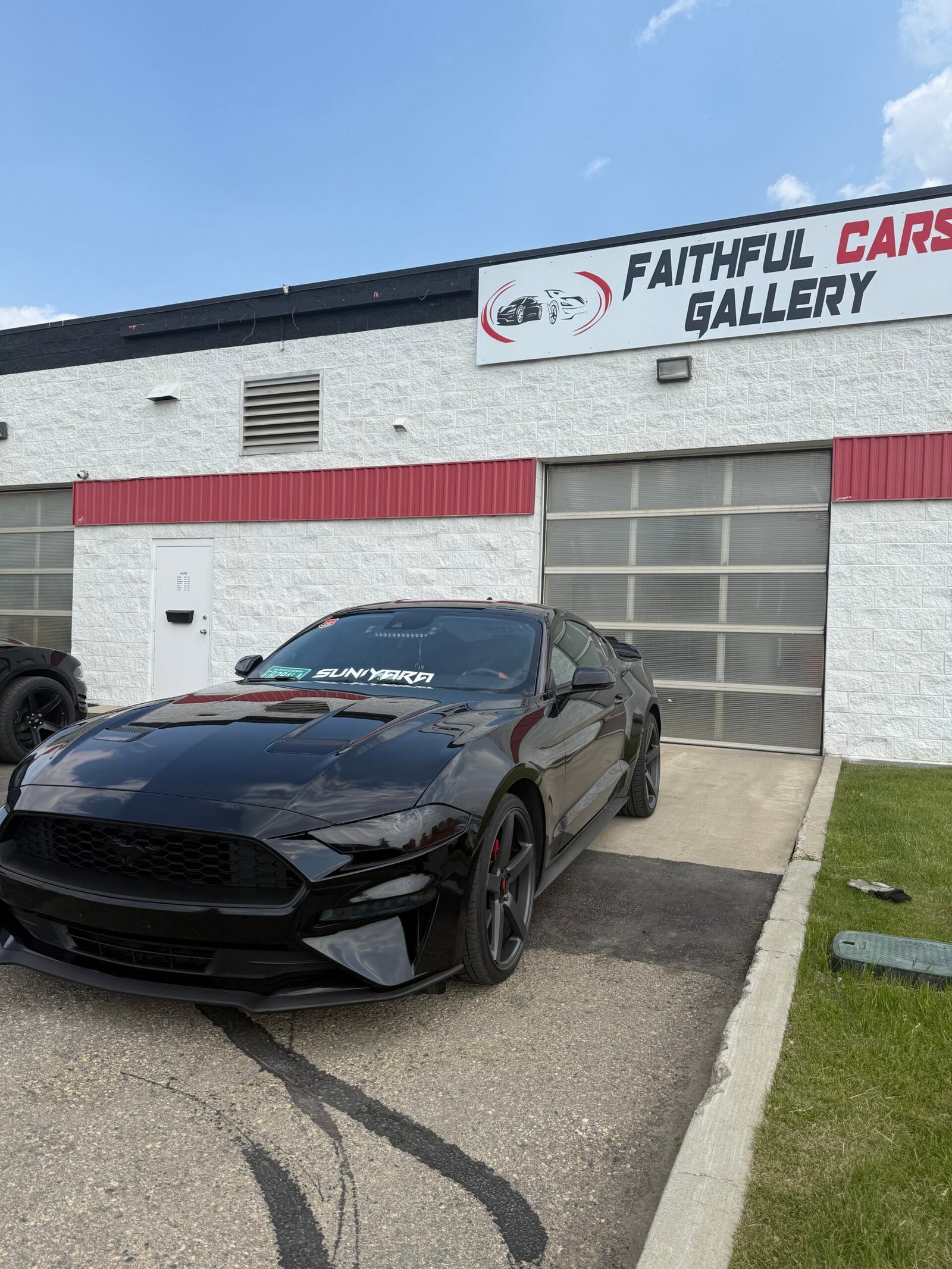 
								Mustang Ecoboost full									