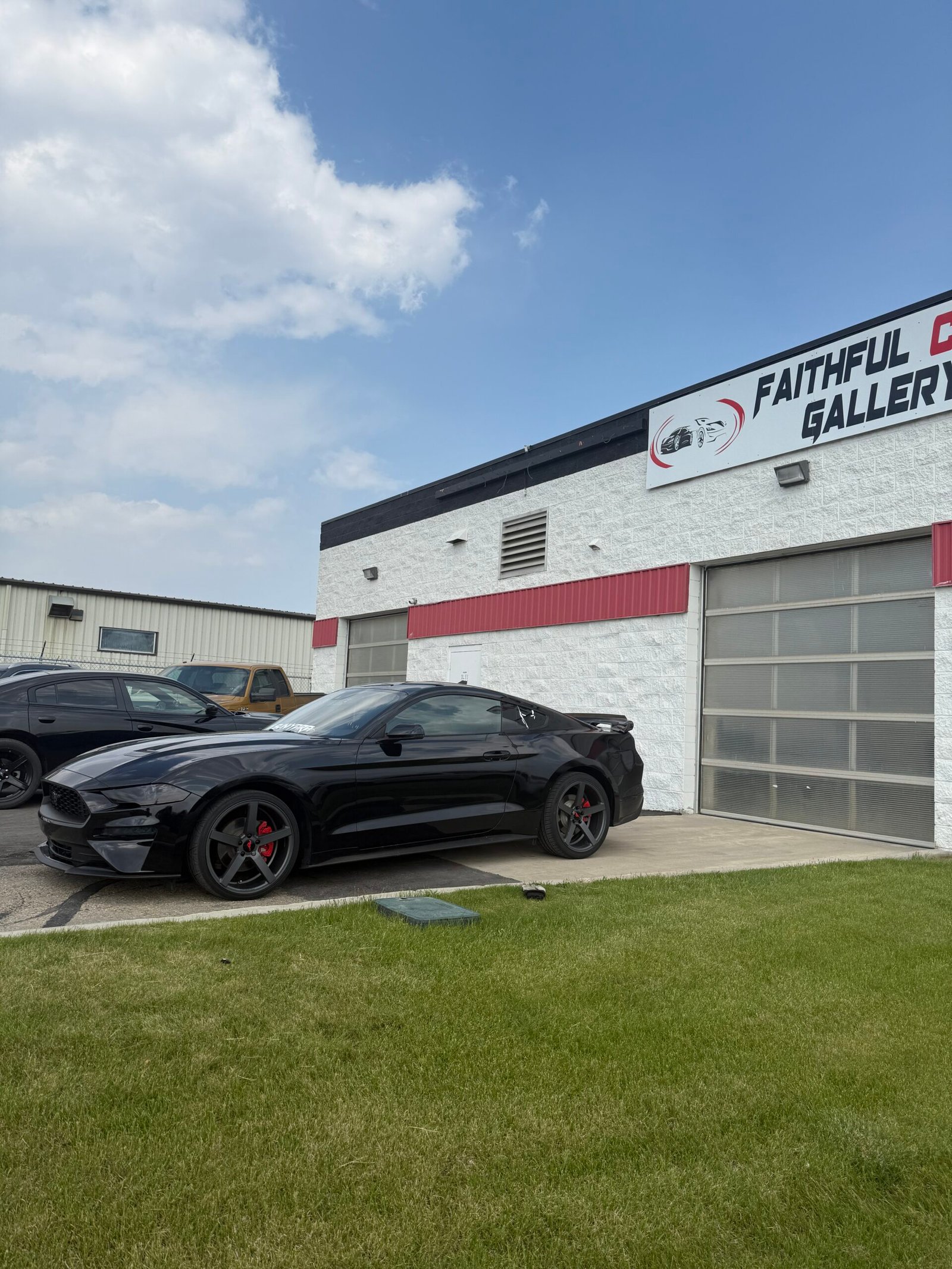 
								Mustang Ecoboost full									