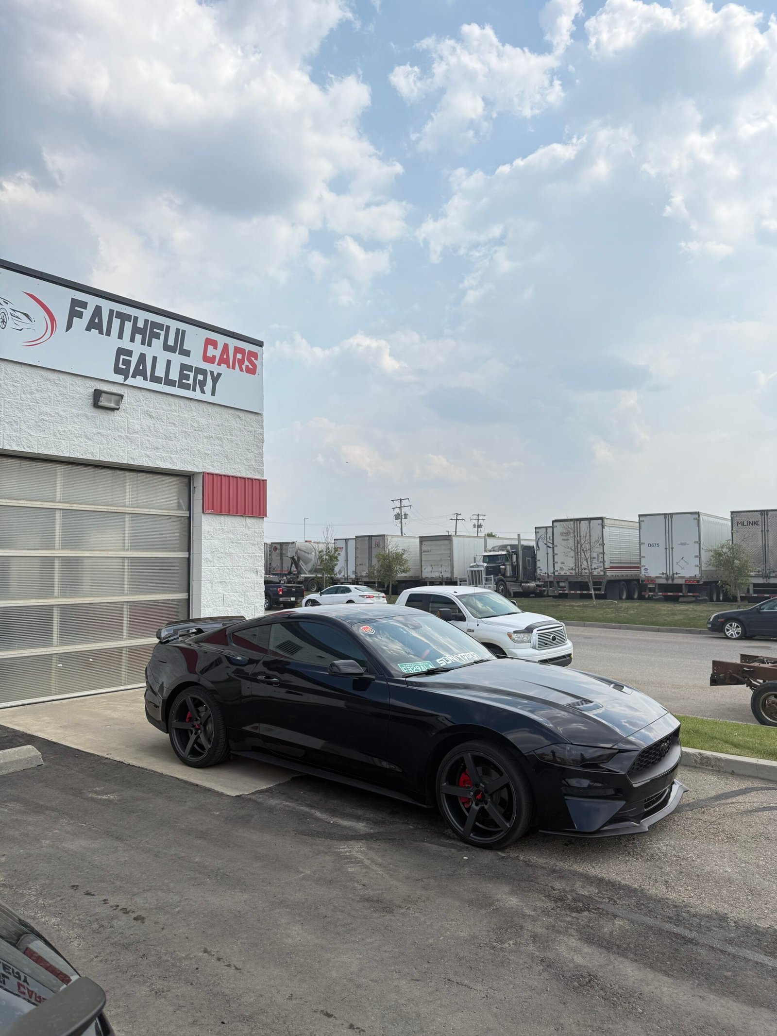 
								Mustang Ecoboost full									