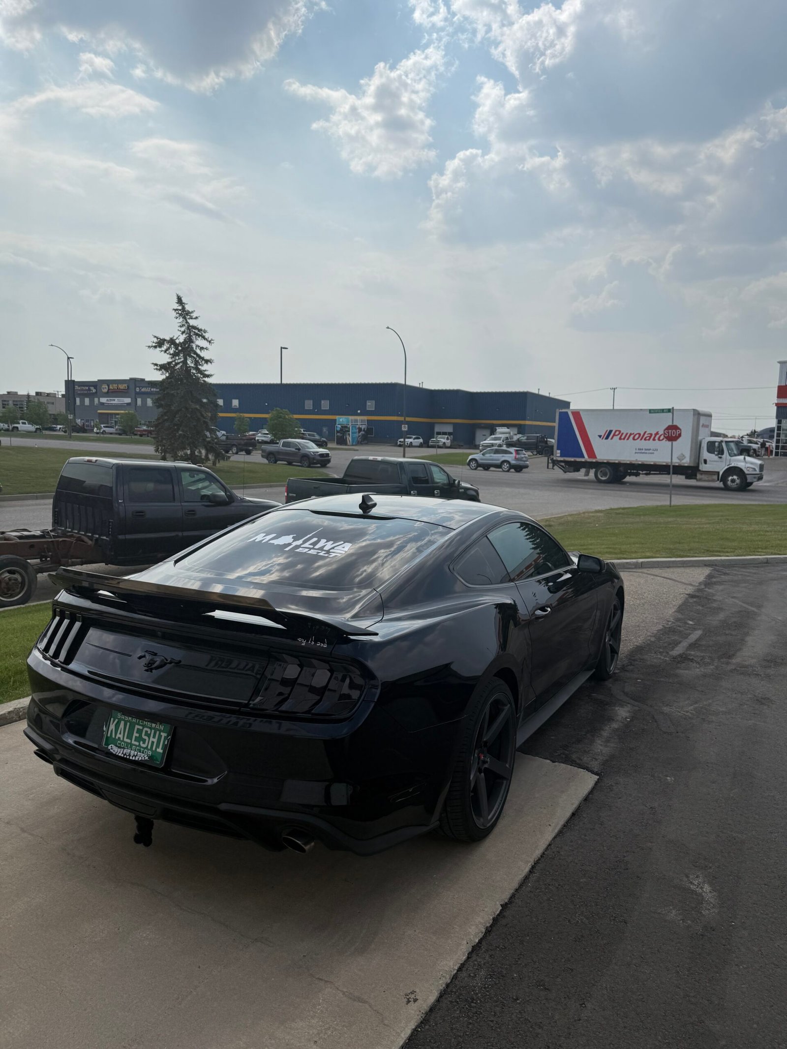 
								Mustang Ecoboost full									