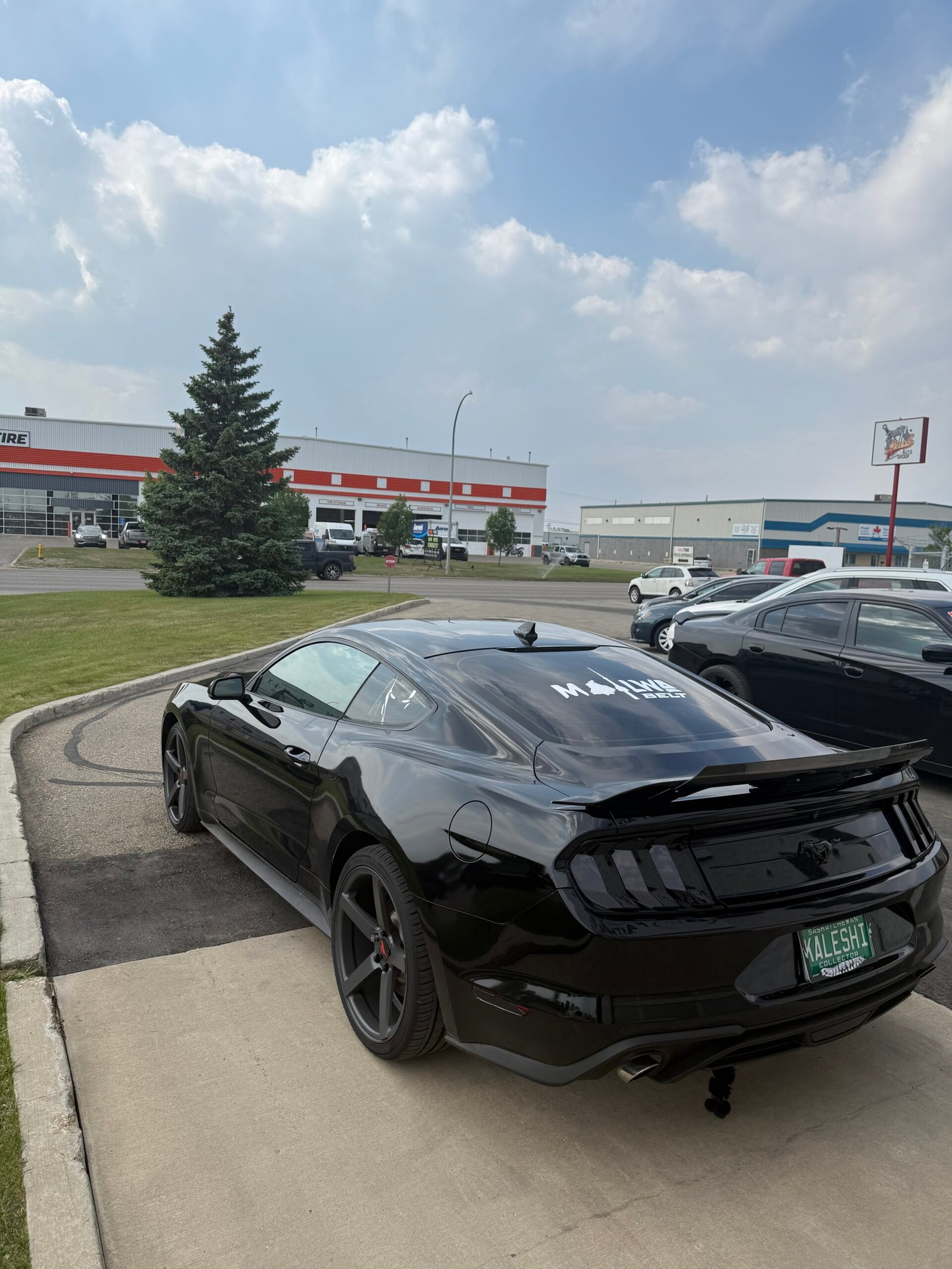 
								Mustang Ecoboost full									
